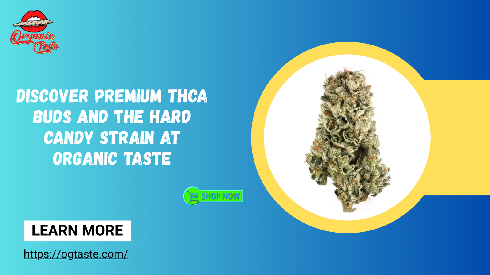 Discover Premium THCA Buds and the Hard Candy Strain at Organic Taste